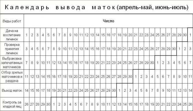 Искусственное осеменение маток