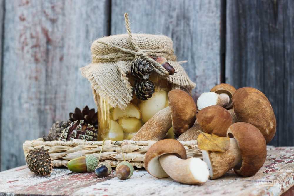Заготавливаем грибы на зиму: солим, сушим, маринуем (+ три потрясающих рецепта) - лайфхакер