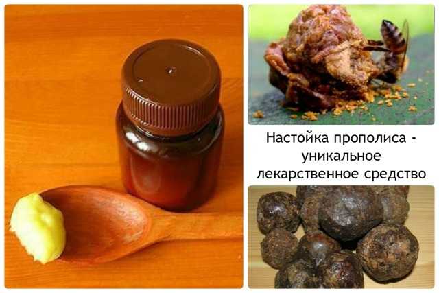 Мед с прополисом (26 фото): полезные лечебные свойства и противопоказания, как приготовить и принимать