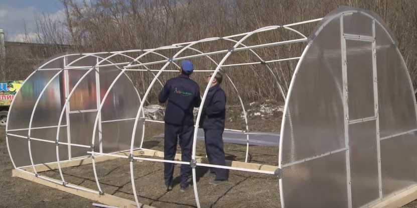 Теплица Кормилица Купить В Новосибирске