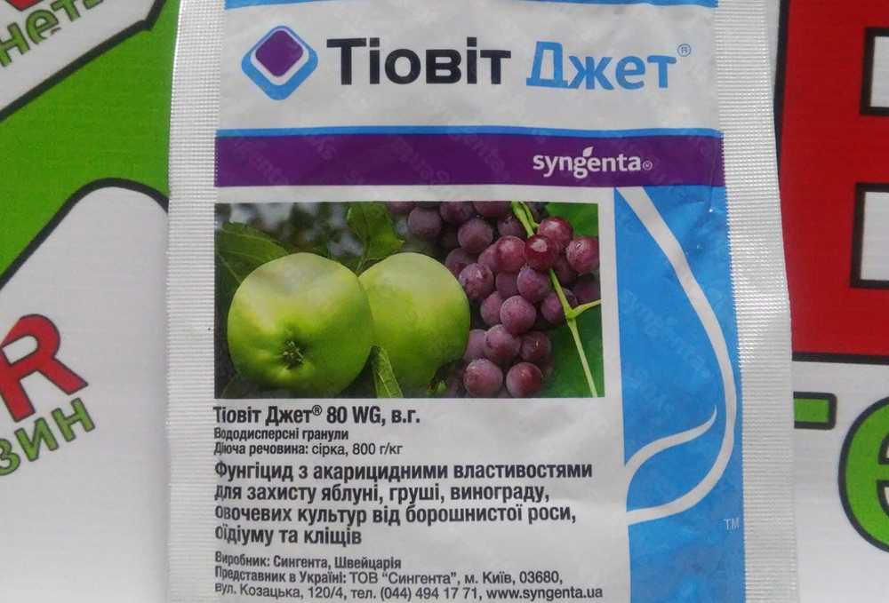 Инструкция по применению Тиовит Джета для винограда: состав, правила приготовления, порядок опрыскивания. Обработка овощных культур и цветов.