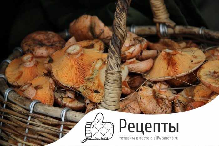 Как приготовить грибы рыжики: лучшие рецепты приготовления с картошкой или в сметане, правила обработки