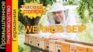 Особенности промышленного пчеловодства в россии