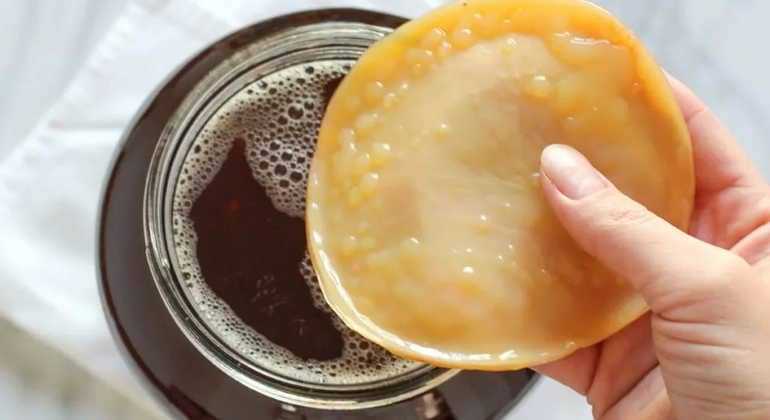 Избавление от проблем с кожей и слизистыми при помощи настоя чайного гриба. очищение чайным грибом