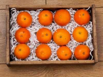 Срок и условия хранения апельсинов в домашних условиях