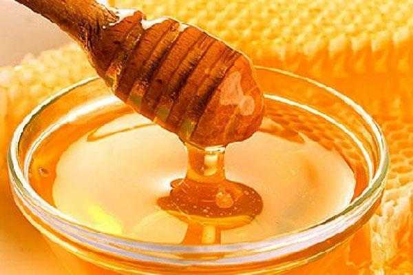 12 полезных продуктов пчеловодства и их целебные свойства