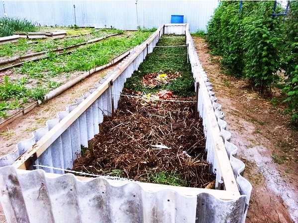 Грядки для огурцов — как сделать, нюансы выращивания и секреты обработки огурцов в открытом грунте (135 фото)