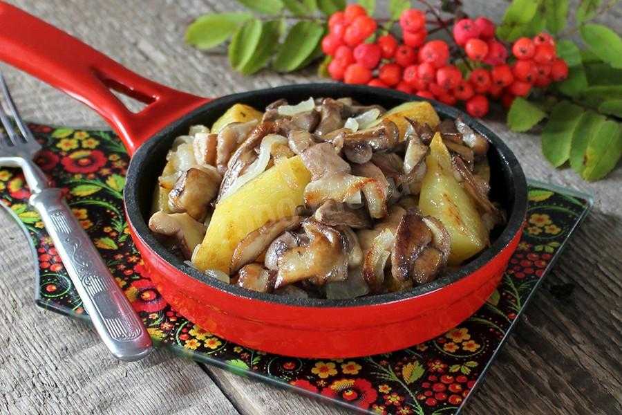 Маслята жареные с картошкой с луком и другие рецепты