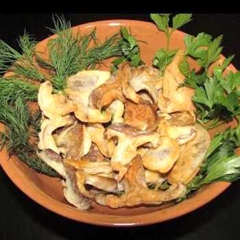 Засолка волнушек и грибов белянок с фото и описанием как готовить