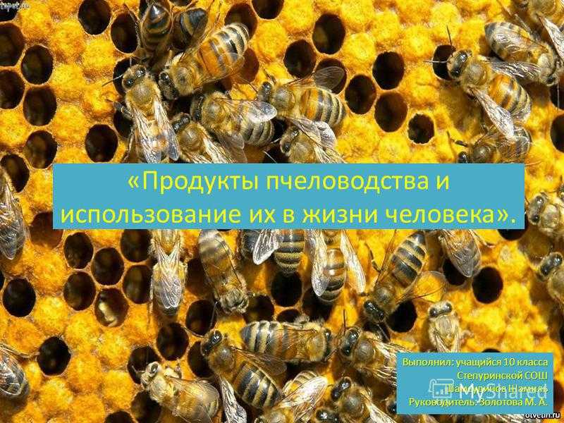 10 продуктов пчеловодства, и их применение
