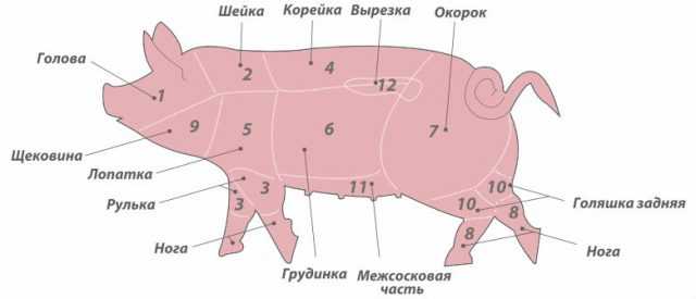 Части свинины: названия и стандартная схема при разделке