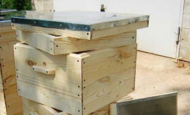 Как зимуют пчелы в ульях различных модификаций многокорпусных лежаках дадана рута