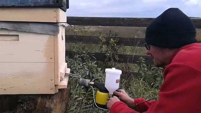 Бипин, как обработать пчел