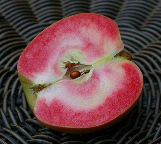 Яблоки розовый жемчуг: описание сорта, фото, вкусовые качества