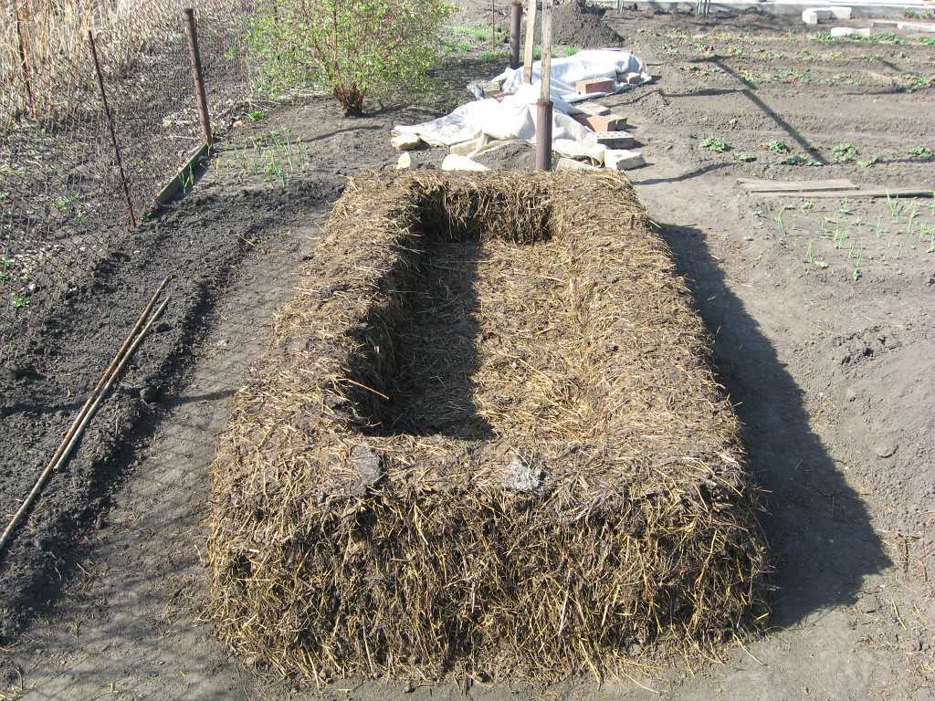 Подготовка почвы в теплице под огурцы осенью и весной
