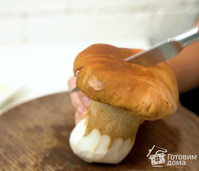 Белые грибы со сливками: соус, подливка, рецепты приготовления с фото, калорийность