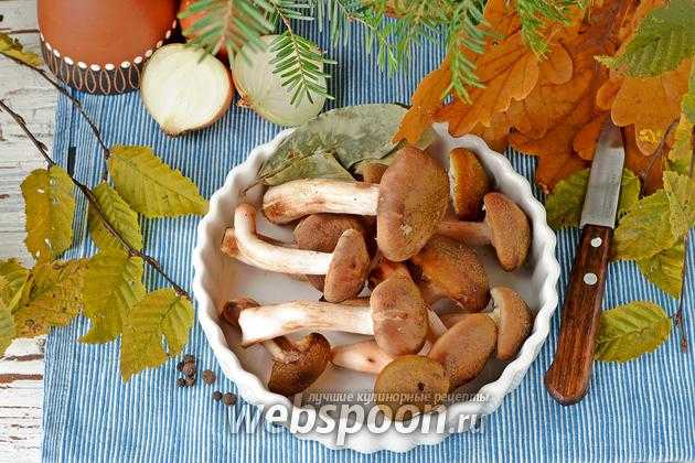 Сколько варить грибы и как это правильно делать? как варить сушеные и замороженные грибы?