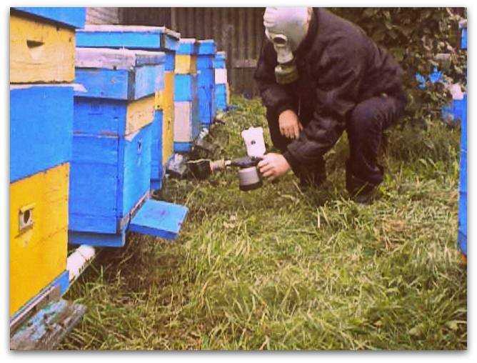 Эффективная защита пчел от клеща