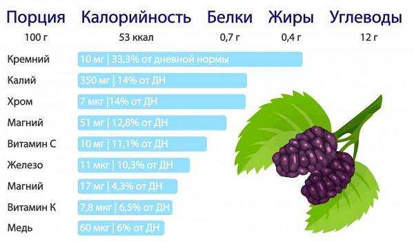 Шелковица: фото, описание сортов, полезные свойства ягод - sadovnikam.ru