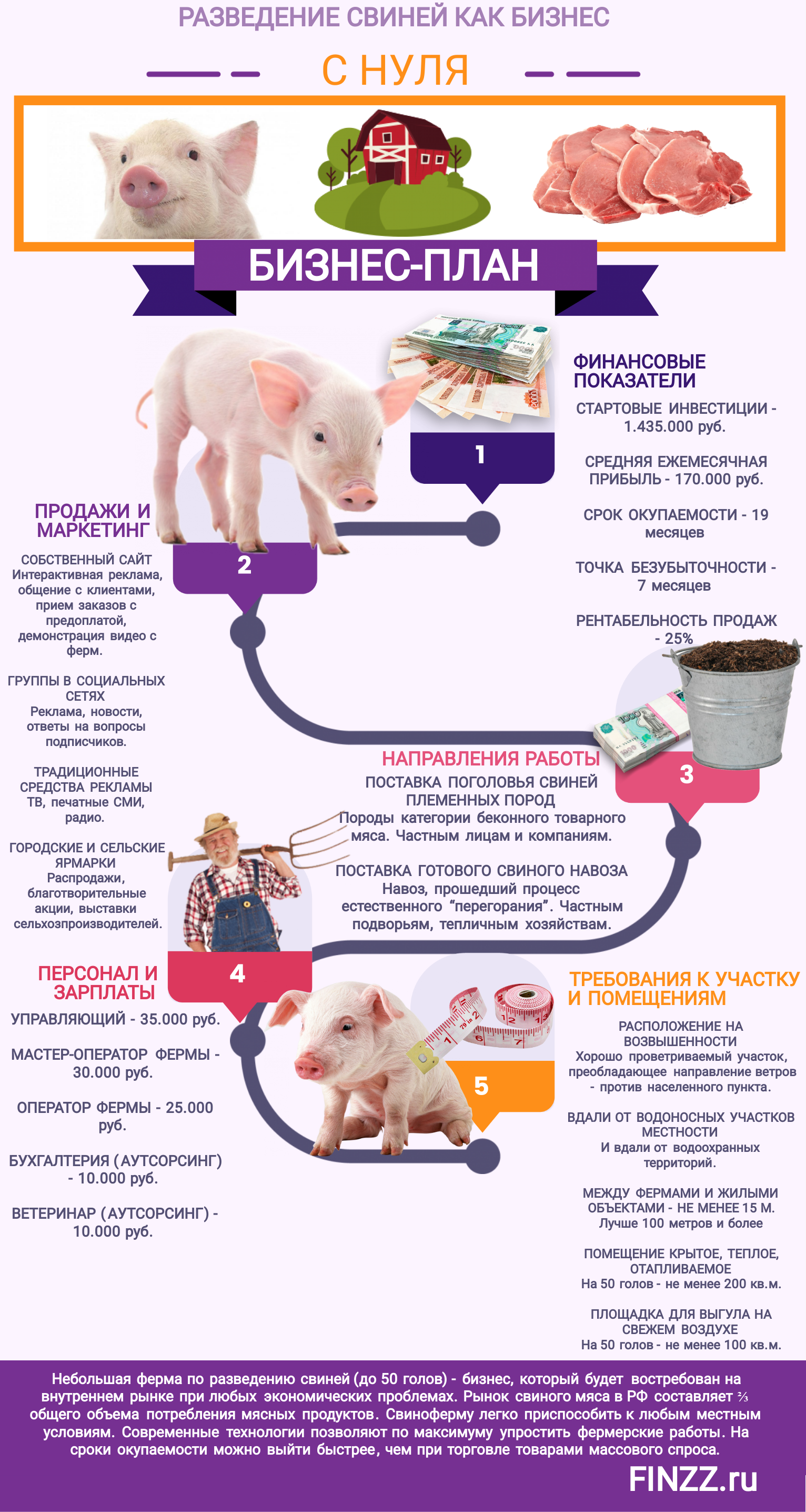 Свиноводство как отрасль животноводства | cельхозпортал