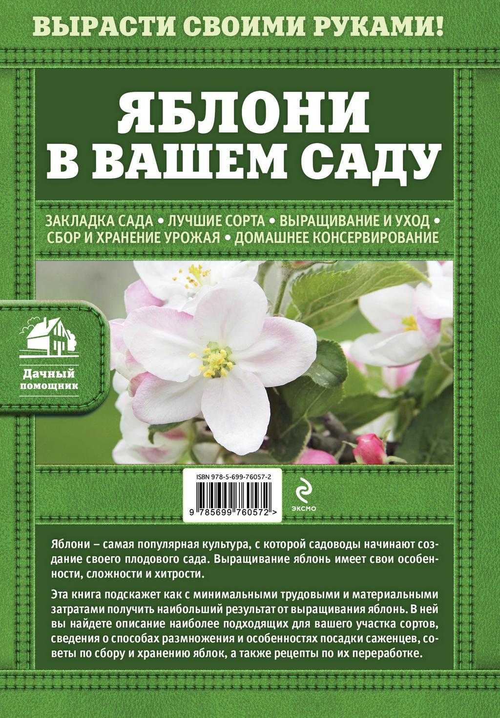 Белорусская яблоня дарунок: описание, фото, отзывы