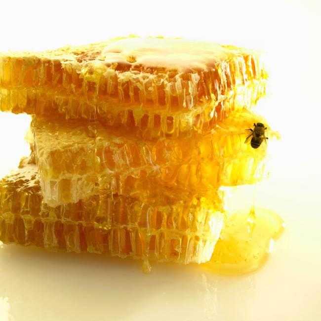 Пчелиный воск едят или нет как есть соты можно ли глотать - скороспел