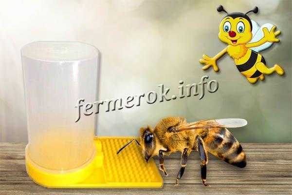 Тетрациклин для пчел: лечение