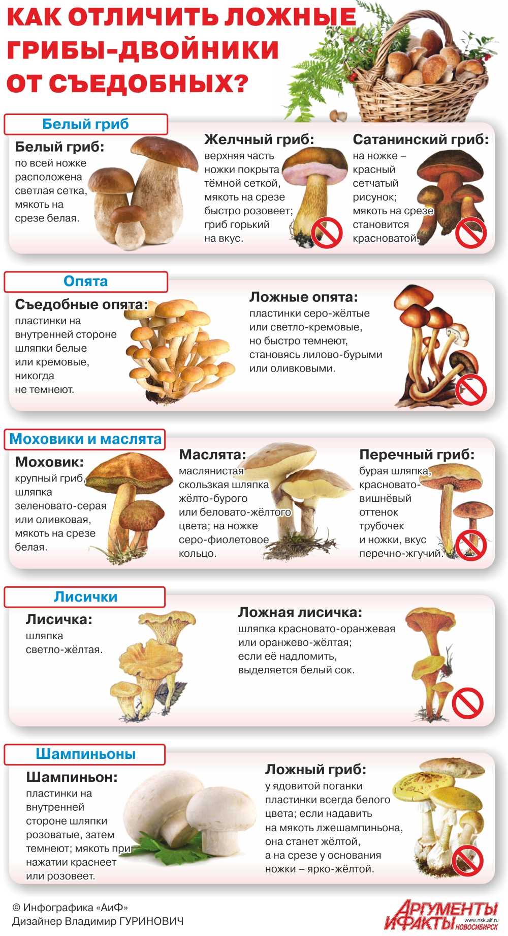Отравление грибами | ядовитые грибы | если вы съели ядовитый гриб