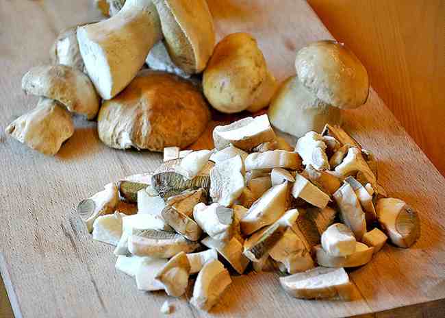 Рецепты приготовления белых грибов на зиму заморозкой