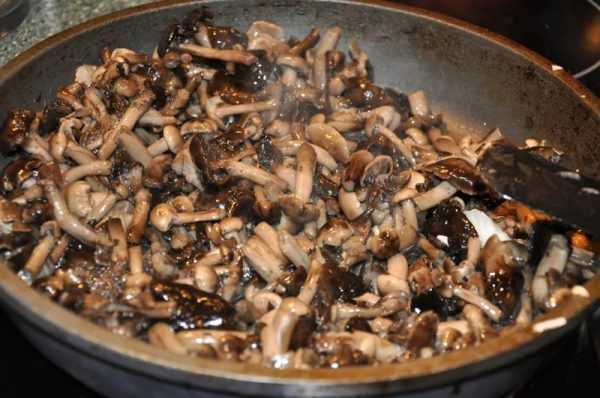 Как чистить грибы: красноголовики, белые, сыроежки, маслята, моховики, лисички, вешенки и другие