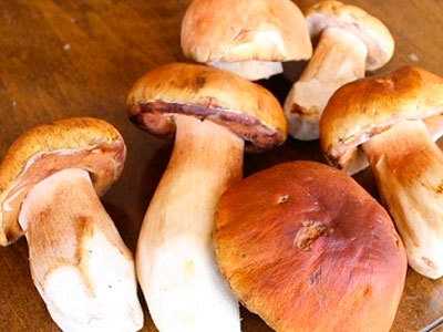 Как замачивать сушеные грибы для супа — lesnik
