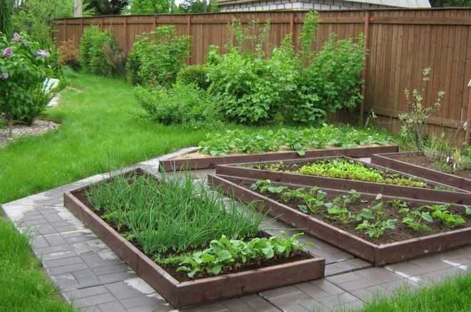 Метод митлайдера — технология создания грядок и полезные советы для начинающих - огород, сад, балкон - медиаплатформа миртесен