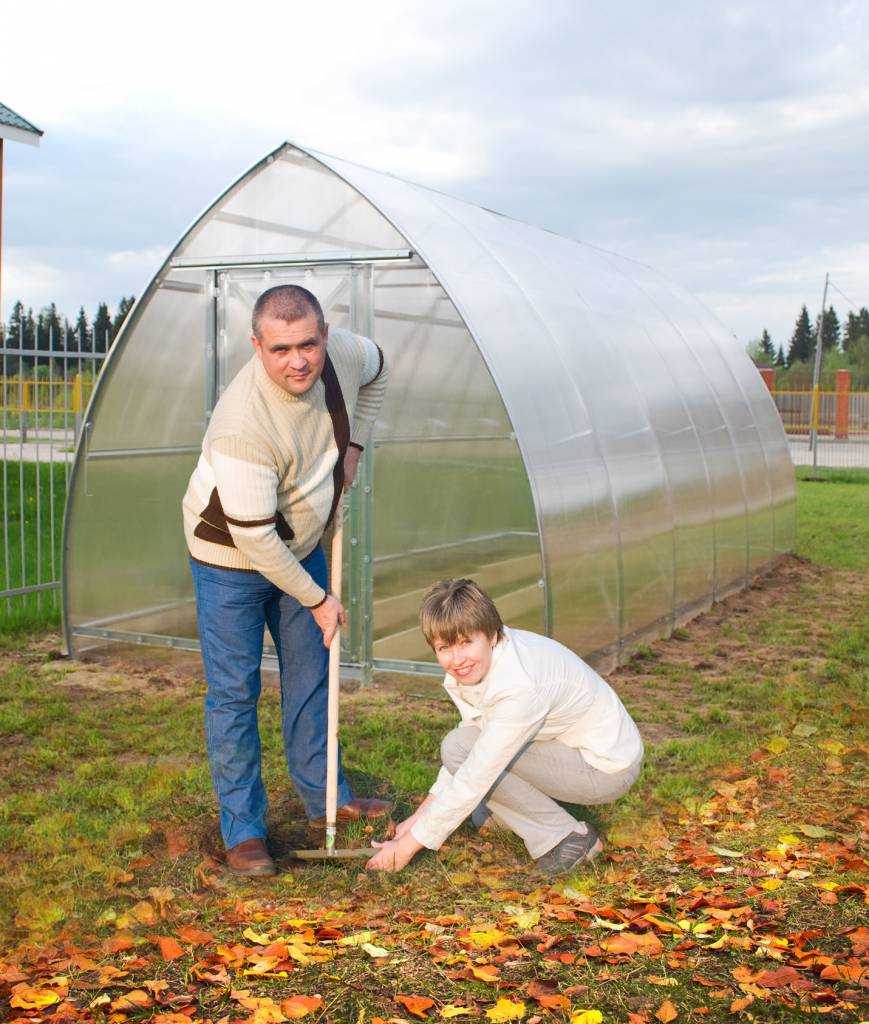 Обработка земли в теплице осенью - подготовка почвы к зиме, удобрения для теплицы