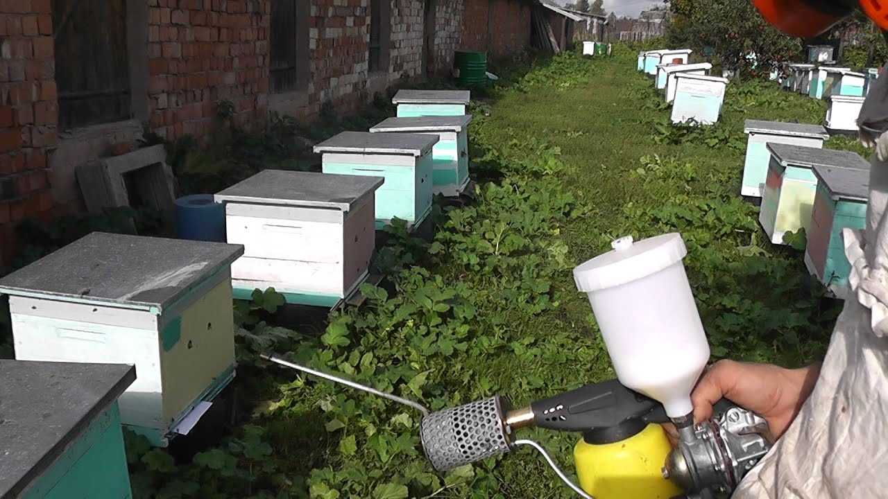 Инструкция по применению бипина для пчел, температура воздуха и другие требования к обработке
