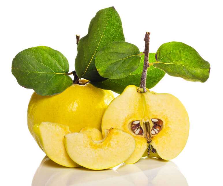 Айва или квитовое яблоко: что это за фрукт