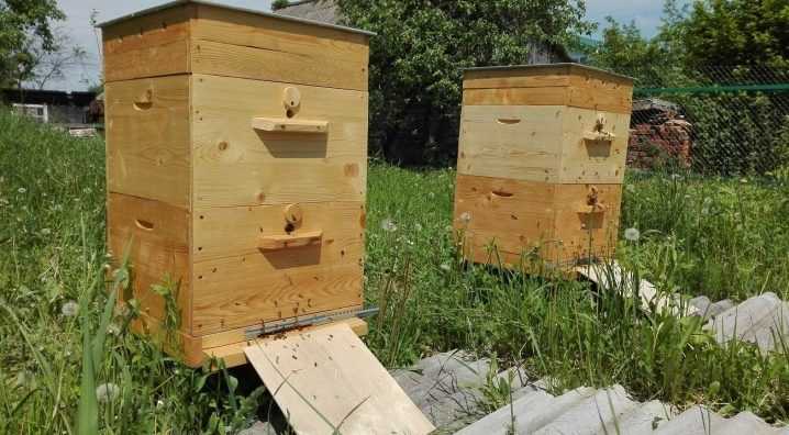Как зимуют пчелы в ульях различных модификаций многокорпусных лежаках дадана рута - скороспел