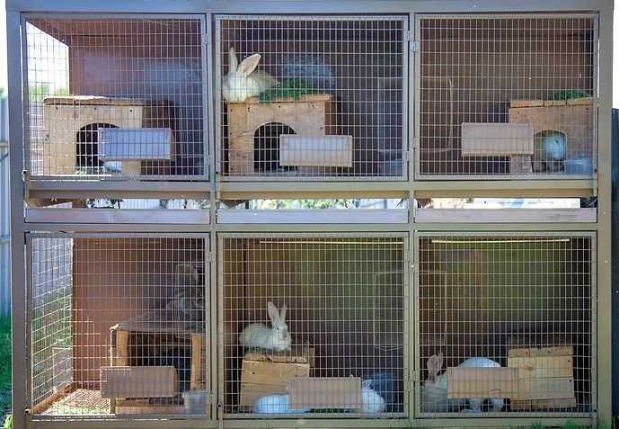 Крольчатник (49 фото): как сделать клетку для кроликов своими руками по чертежам? размеры мини-ферм в 2 яруса и других моделей, оригинальные идеи постройки