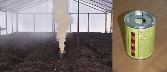 Табачная (дымовая) шашка для теплицы из поликарбоната: обработка весной, когда жечь, польза и вред, как зажечь, как использовать от фитофторы - растения и огород