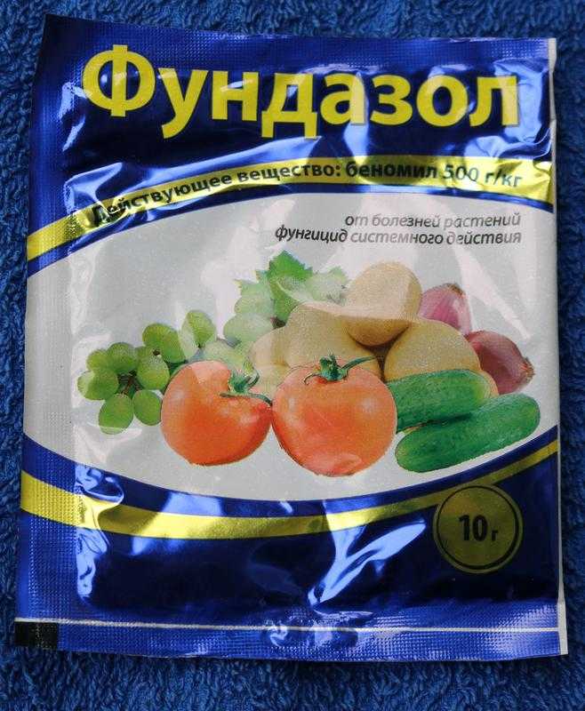 Фундазол: инструкция по применению для растений и отзывы, как обрабатывать препаратом от болезней клубнику, огурцы, орхидеи, розы