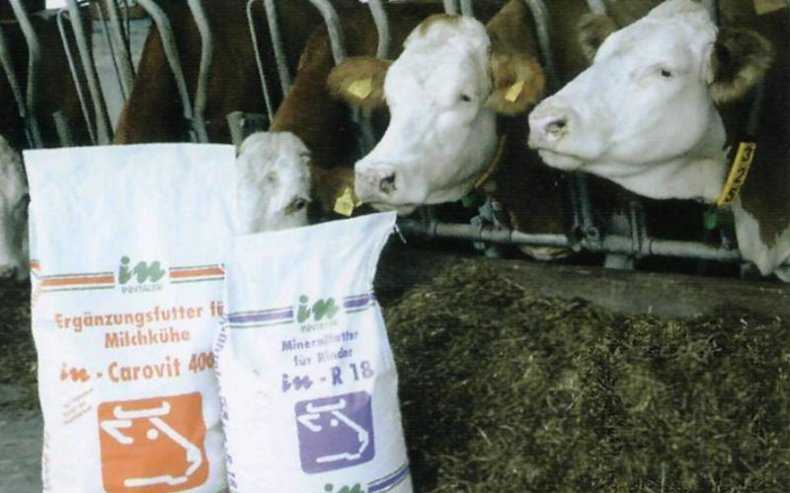 Стимуляторы роста для быков. топ гормональных препаратов для коров