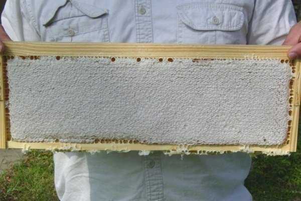 Исправление слабых пчелиных семей