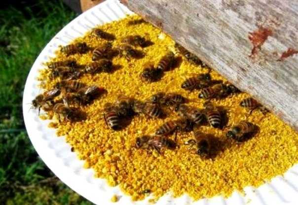 Осенняя побудительная стимулирующая подкормка пчел