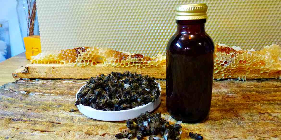Пчелиный подмор — что это? cвойства и применение