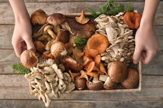 Как замачивать сухие грибы перед приготовлением- рецепт пошаговый с фото
