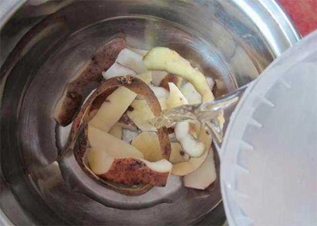 Картофельные очистки как удобрение