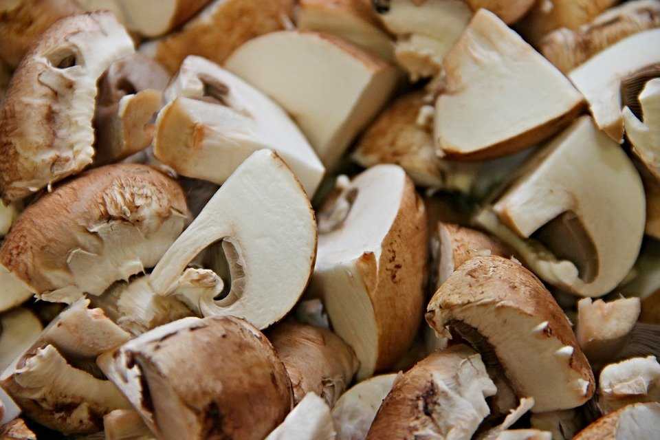 Сколько времени нужно варить грибы рядовки до готовности перед жаркой, заморозкой, маринованием, засолкой и запеканием