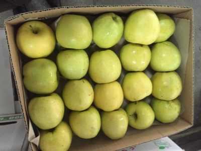 50 фото и описание сорта яблок «семеренко», ? его полезные свойства и противопоказания