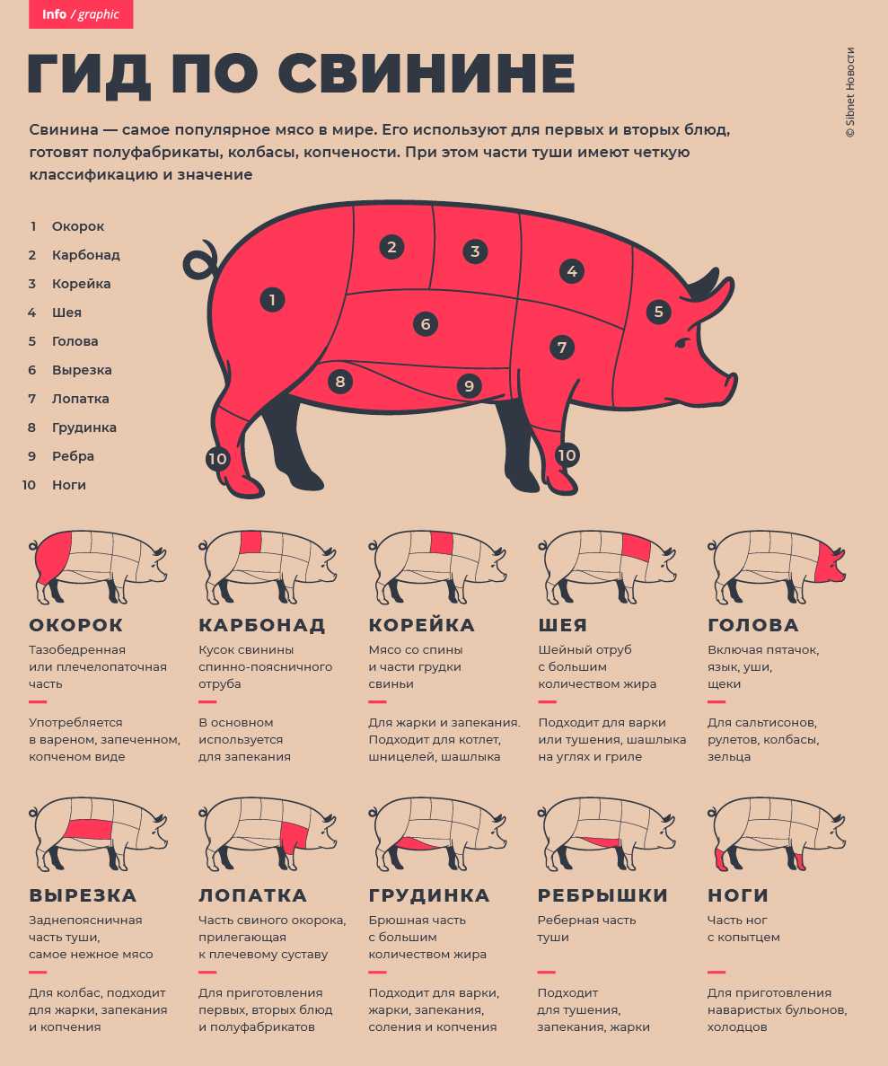 Корейка свиная: где ее найти, с чем ее едят и какая в ней человеку польза