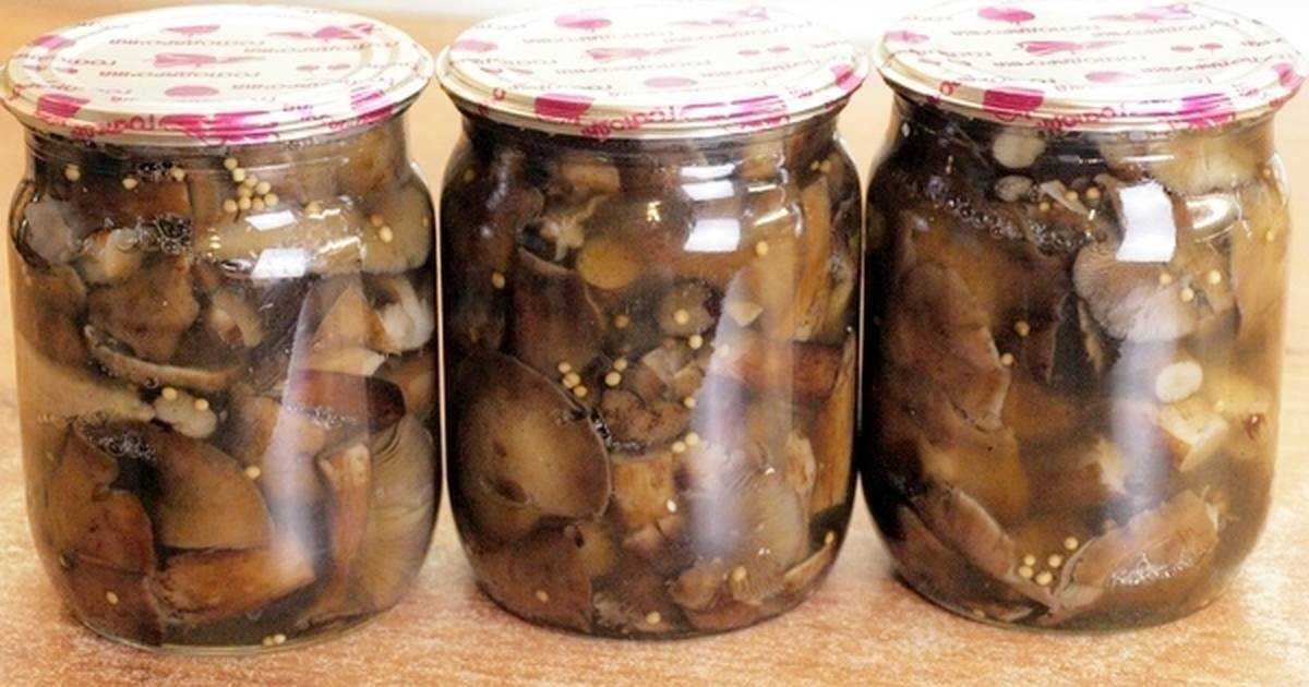 Маринованные грибы опята – очень вкусные рецепты на зиму и все самое интересное об этих грибочках