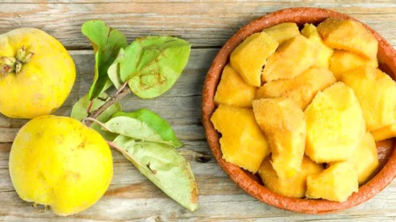 Айва – польза и вред для здоровья свойства вареного фрукта и семечек плодов